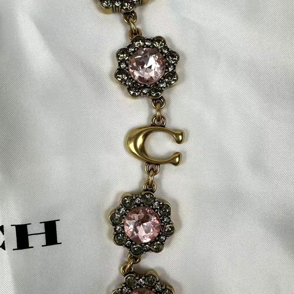 Coach Short Jewelry Chain Strap In Brass/Pink Multi CAU47 NWT - Picture 4 of 7